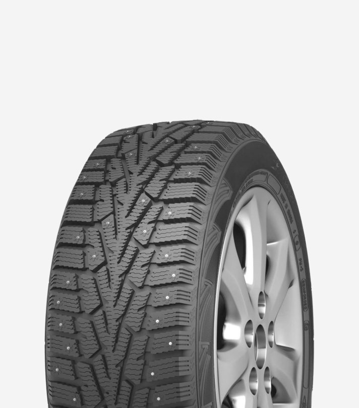 Sportster High-Performance Tire